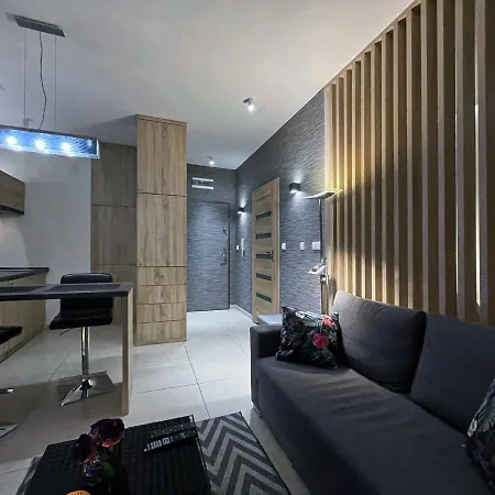 公寓 4uapart-apartment Platan New York 斯维诺乌伊希切